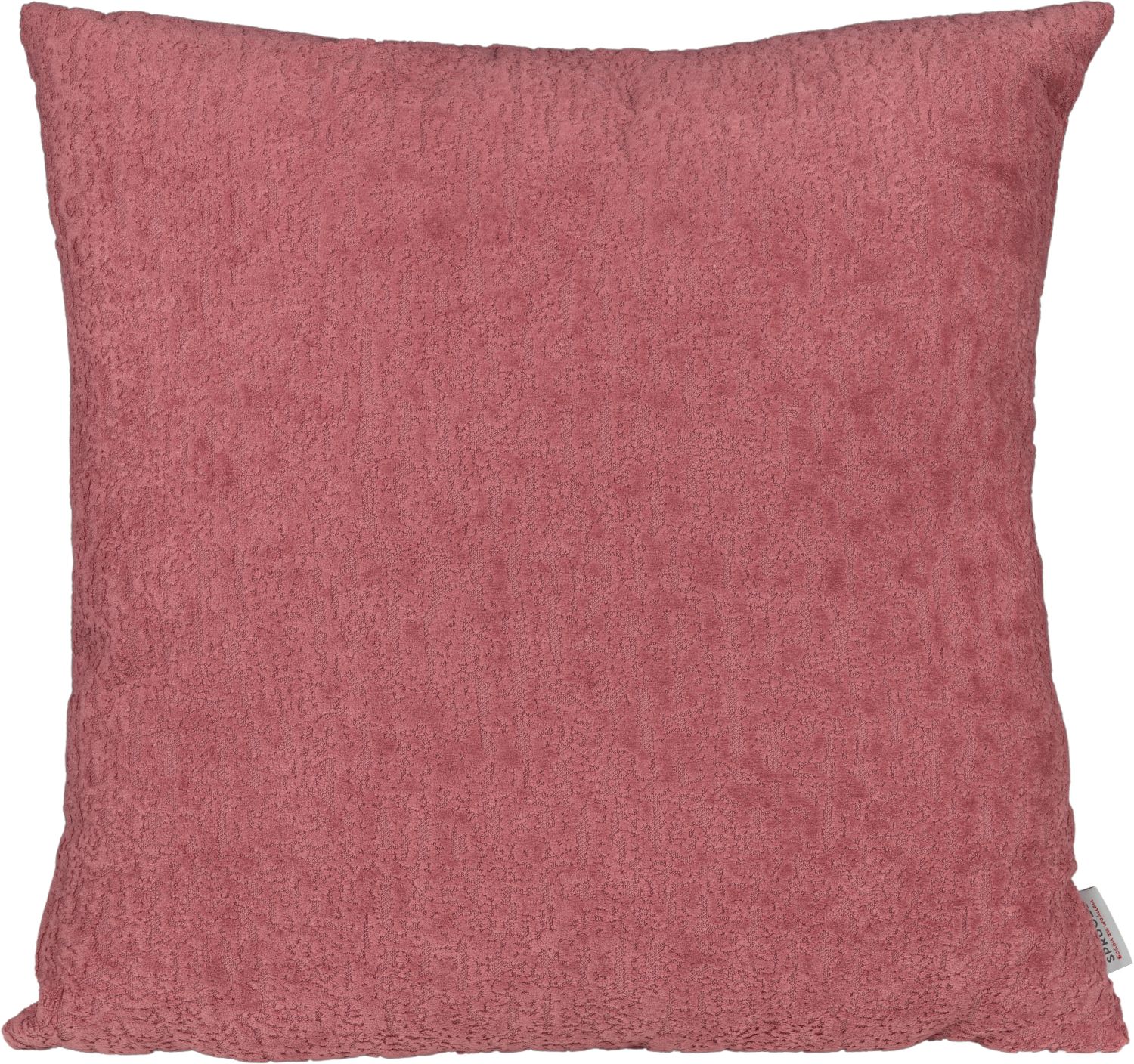 Sprügel Dekok. Lionela Pad